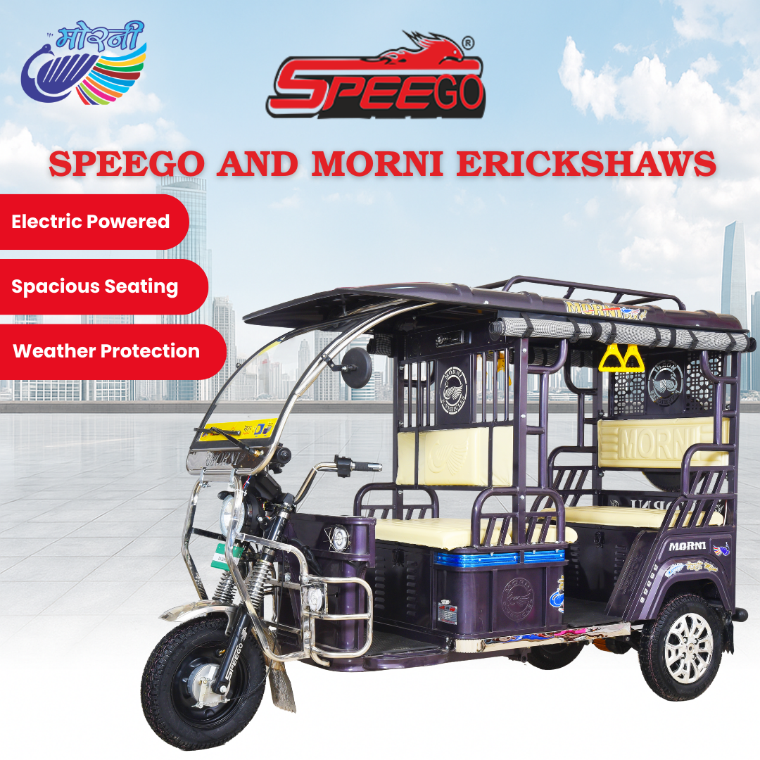 Morni M Fine Iron and Steel E Rickshaws Manufacturer in India 